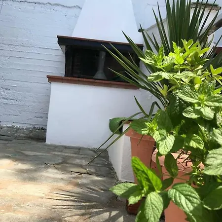 Beautiful Home, By The Sea,comfortable-siviri Chalkidiki Daire
